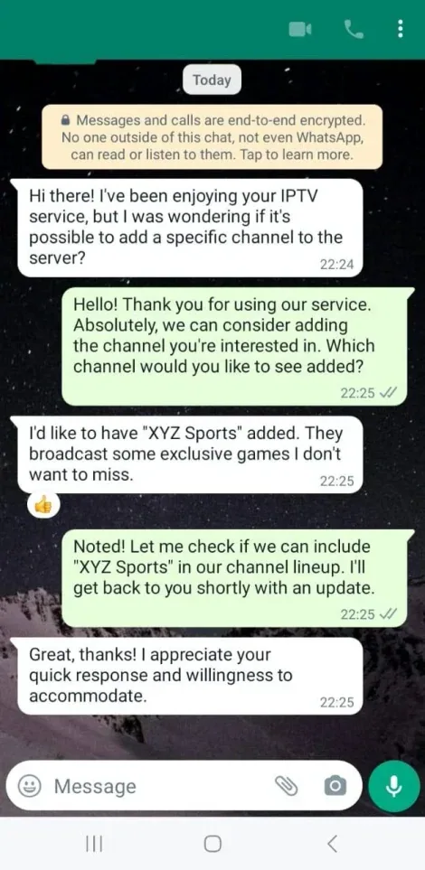 Customer WhatsApp conversation 3